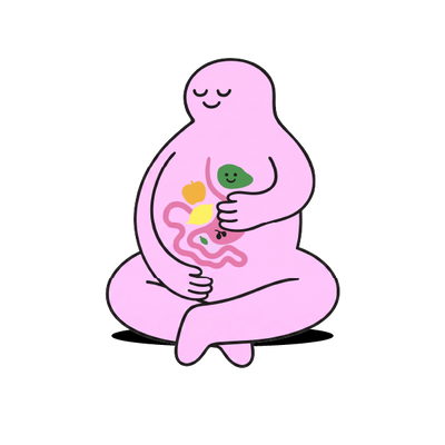 Pre-Probióticos y enzimas digestivas